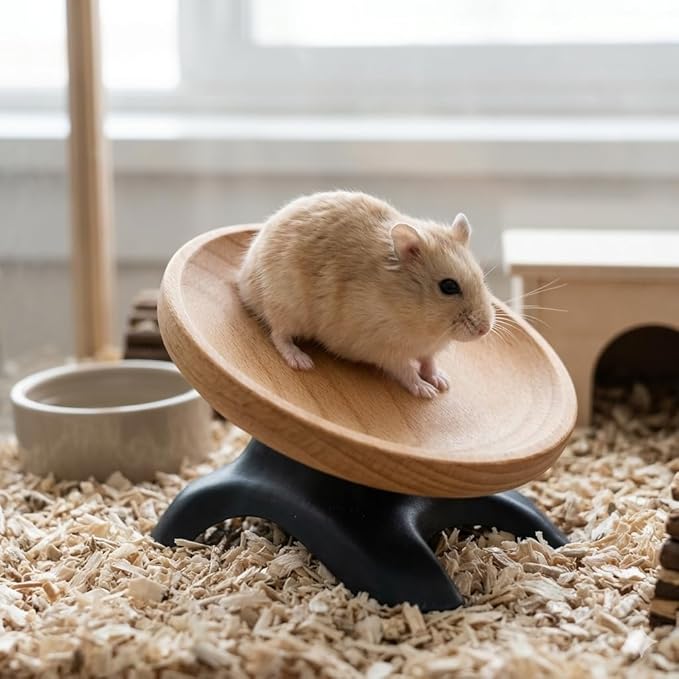 Hermit Crabs Wheel Toy, Wooden + Plastic Hamster Running Wheel Toys, Small Animals Cage Accessory, Tank Accessory, Suitable for Hermit Crab Hamster Rat