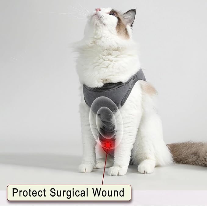 cat Recovery Suit Soft Cat Surgery Recovery Suit Female Cat Onesie for Cats After Surgery,Cone E-Collar Alternative Anti-Licking Protective Outfit Pet Surgical Recovery Pajama Suit