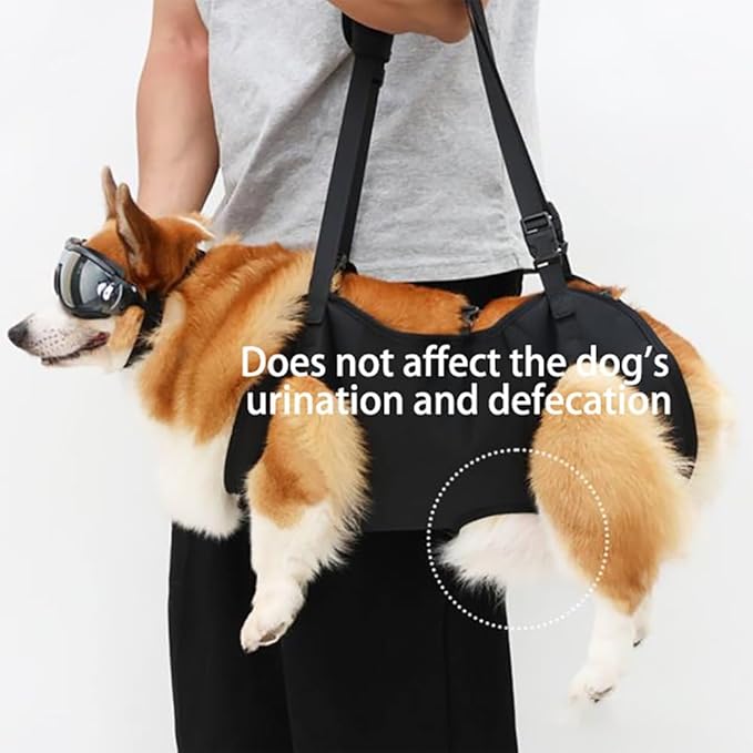 Dog Lift Harness for Rear Legs, Adjustable Support Sling with Handle for Mobility Aid, Helping Senior Dogs, Disabled Pets, Arthritis Relief and Post Surgery Recovery(S(12-25) pounds)