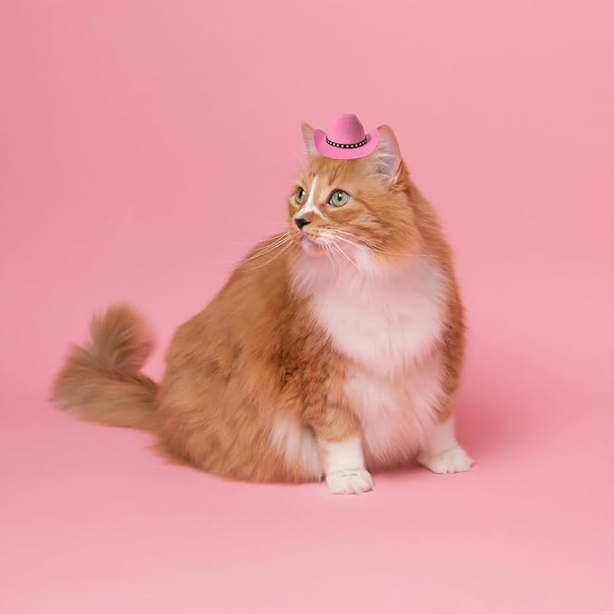Dog Cowboy Hat Cat Cowboy Hat Mini Cowboy Hat for Dogs Cat Pet Cowboy Costume with Bandana Scarf Holiday Halloween Pet Party Decoration (Pink, Small)