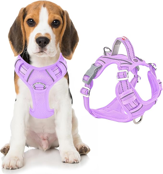 BARKBAY Dog Harness No Pull with ID Tag Pocket - Heavy Duty, Reflective, Easy Control for Large Dogs(Violet Purple,M)