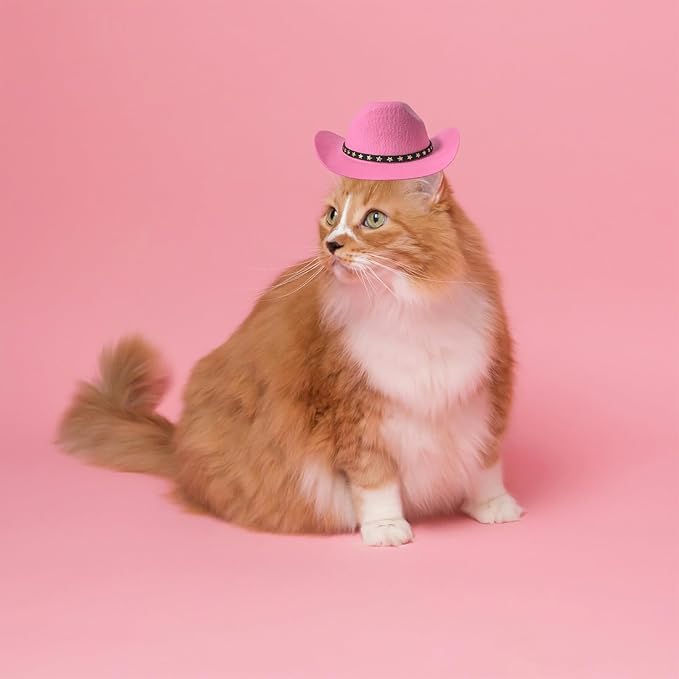 Dog and Cat Cowboy Hat With Bandana Scarf - Mini Pet Costume for Holiday, Halloween, Party Decoration (Pink, Large)