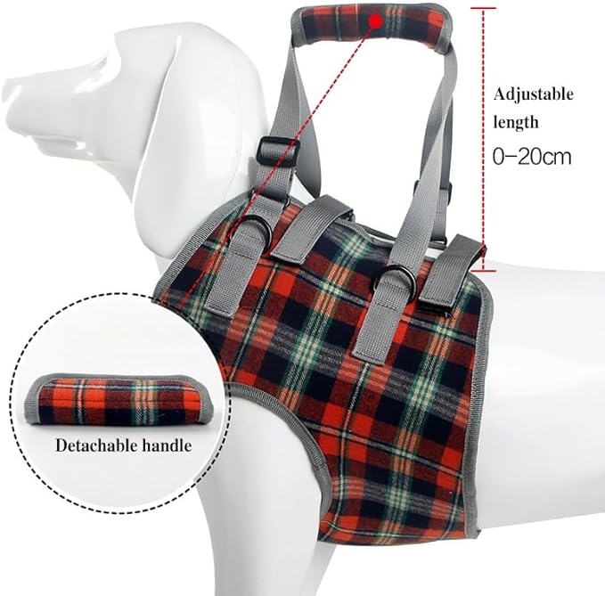Harness,Lightweight & Simple Mobility Assistance Vest with Grab Handle, Rear Leg Support Straps(A,Large)
