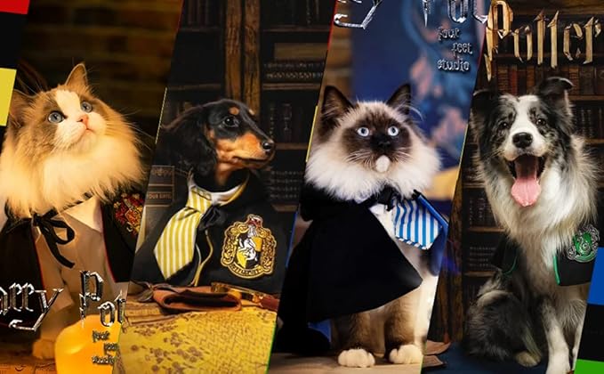 Cat Costumes Halloween 3 Piece Set with Glasses and Neckties, Cat Dog Cosplay Costume Set, Perfect for Party and Gifts for Cat Dog (Blue, Large)