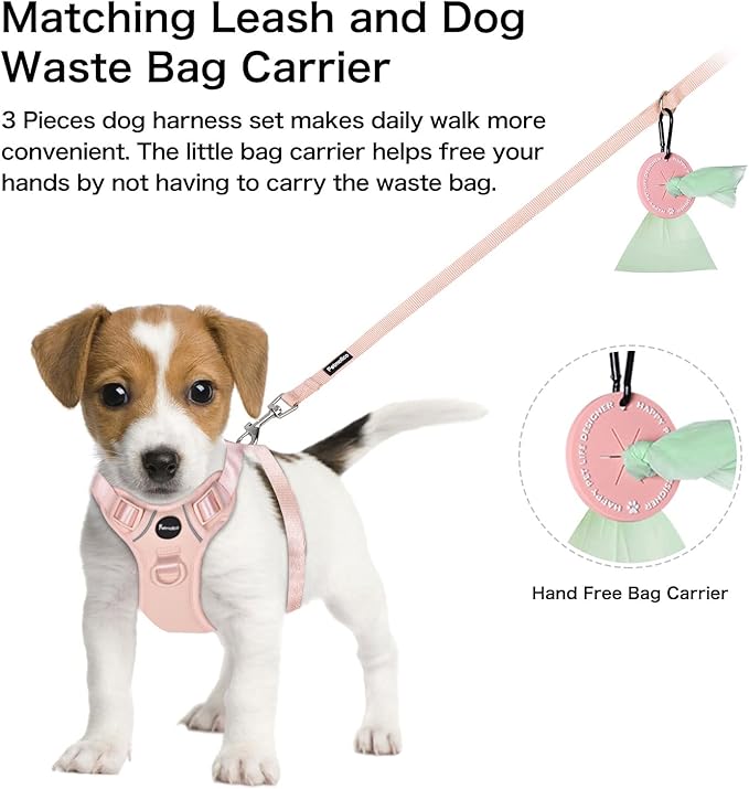 Petmolico Dog Harness for Small Dogs, Cute Harness Vest with Two Leash Clips and Soft Handle, Reflective Easy Walk Puppy Vest - Pink, Medium