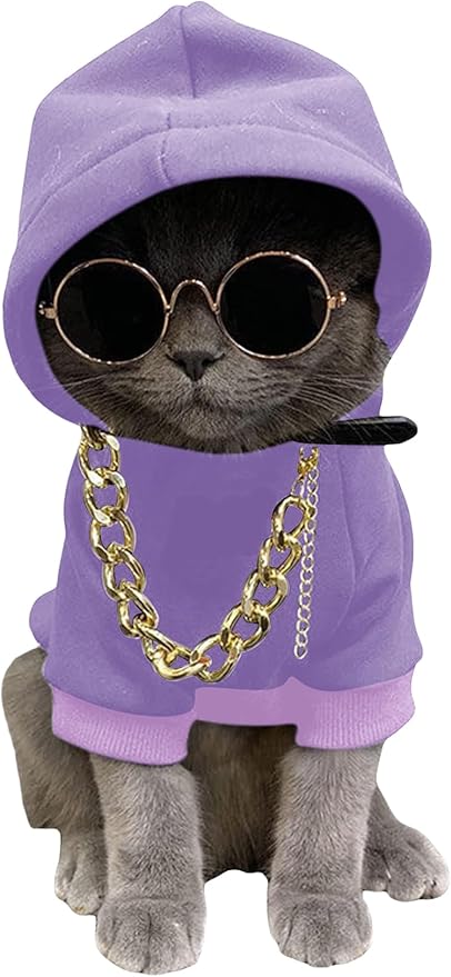 QWINEE 3Pcs Dog Hoodie Cat Apparel Dog Custume Set with Necklace and Sunglasses Pet Clothes for Puppy Small Medium Dogs Cats Mauve Purple Small