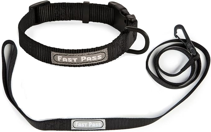 Metal Free Airport Travel Collar Leash Set Designed for Small Pets who fit Under seat of Airplane Metal Free to Speed up The Airport TSA Inspection Process (Small 7-10 inch)