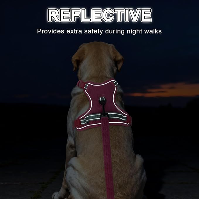 BEAUTYZOO No Pull Dog Harness Large, Adjustable Dog Harness and Leash Set -Easy Wearing with 3 Buckles/Control Handle,No Choke Soft Padded Reflective Pet Vest for Training Walking Hiking,Rose XL