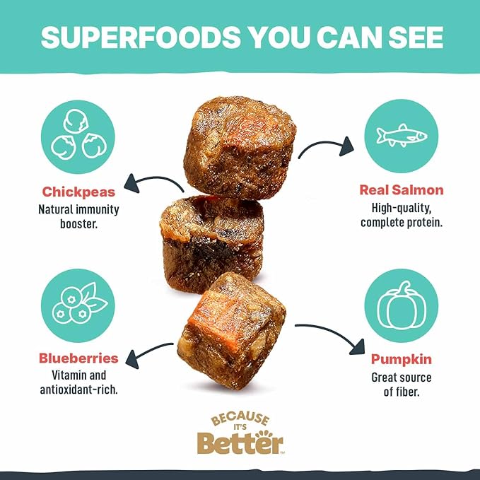 Because It’s Better Slow Baked & Air Dried Dog Food - Real Salmon & Veggies - Complete & Balanced Dry Dog Food - Grain Free, High Protein, Natural Nutrition for All Life Stages, 3 lb Bag