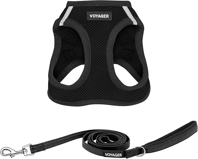 Best Pet Supplies Voyager Step-in Air All Weather Mesh Harness and Reflective Dog 5ft Leash Combo with Neoprene Handle, for Small, Medium and Large Breed Puppies - Set (Black), XX-Small