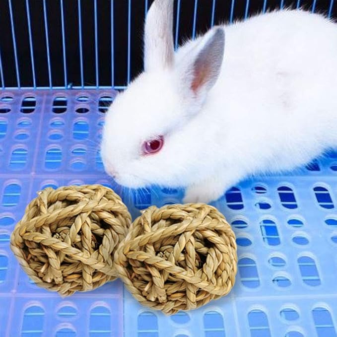 Hamiledyi 15PCS Rabbit Grass Balls 2.8in Large Guinea Pig Balls Small Animal Activity Enrichment Toy for Bunny Chinchilla Hamster Gerbil Grinding Playing