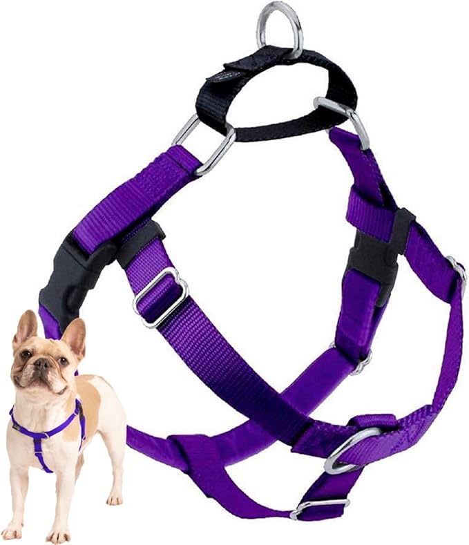 2 Hounds Design Freedom No Pull Dog Harness, Adjustable Harness, Easy Walking & Comfortable Control, Fits Small, Medium & Large Dogs, Solid Colors, Made in USA, 1" XL, Purple