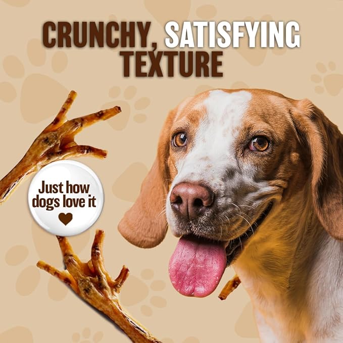 Dehydrated Chicken Feet for Dogs - Single Ingredient Dog Chews - Made in USA - 100% Digestible Chicken Foot Treats - Natural Dog Treats - Dried Chickens Treat for Dogs - 24 Count