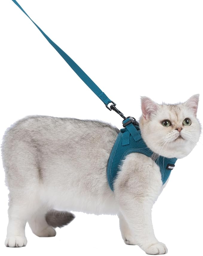 Voyager Step-in Pet Harness - All Weather Mesh, Adjustable Step in Harness for Cats and Dogs by Best Pet Supplies - 307S Turquoise, XXXS