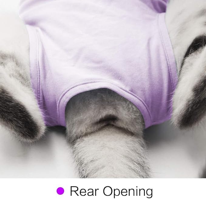 kzrfojy Cat Surgery Recovery Suit Cat Onesie for Cats After Surgery Spay Surgical Abdominal Wound Skin Diseases E-Collar Alternative Wear (Purple-L)