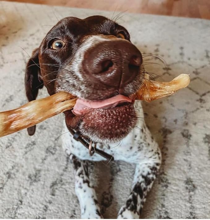Beef Tendons for Dogs Made in USA. 6-10 Inch Grass Fed Farm-Raised American Beef Dog Treats. All Natural Dog Dental Chews. Grain Free Odor-Free Chews 5 Count