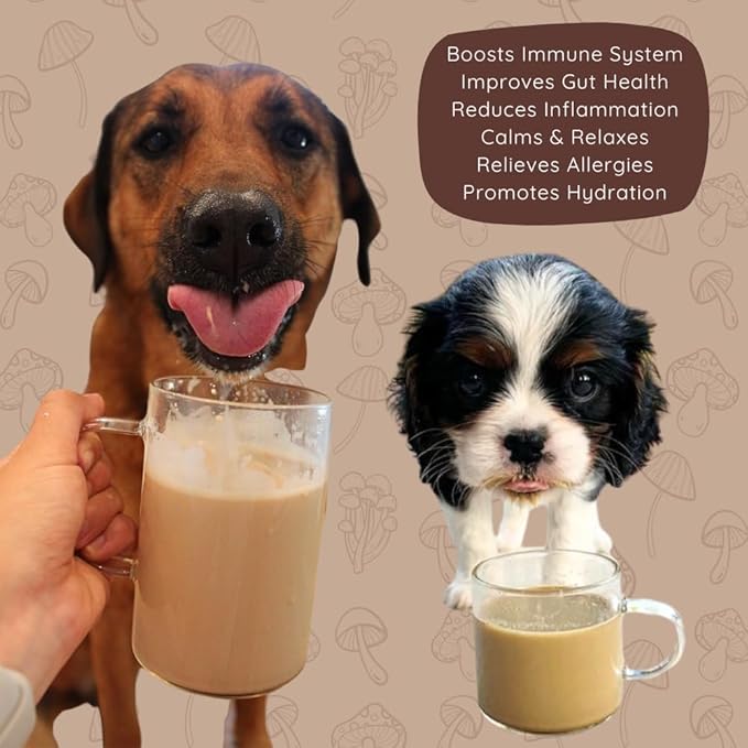 K9-Cups - Coffee for Dogs, Caramel Latte Dog Treat Beverage - Single Serve Latte K-Cups Pods for Keurig, 10 Count | All Natural, Human Grade, No Caffeine, Goats Milk + Mushrooms