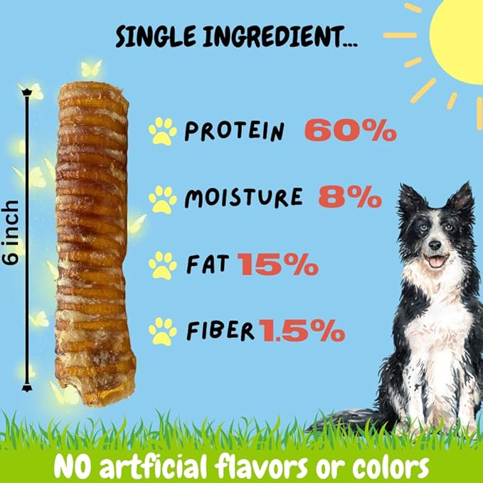 BULLYSTICKS & MORE 6 Inch Grass Fed Beef Trachea (12 Pack) | Long Lasting Dog Chews