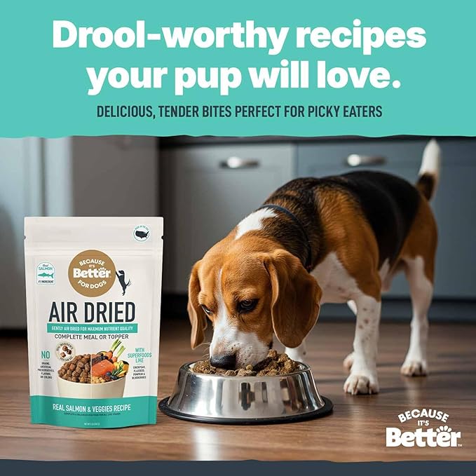 Because It’s Better Slow Baked & Air Dried Dog Food - Real Salmon & Veggies - Complete & Balanced Dry Dog Food - Grain Free, High Protein, Natural Nutrition for All Life Stages, 1 lb Bag