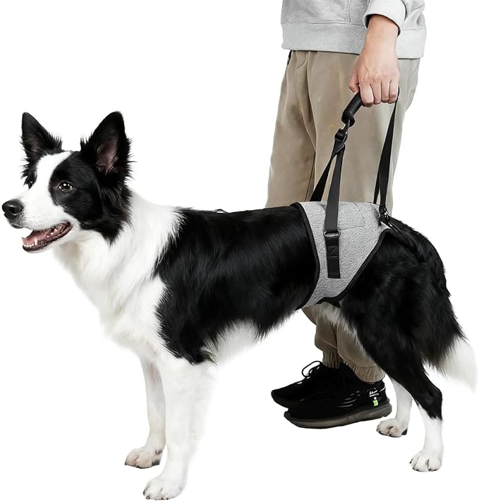 Dog Lift Harness for Dogs, Support Harness for Back Legs, Adjustable Rear Support Harness Grey Small