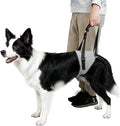 Dog Lift Harness for Dogs, Support Harness for Back Legs, Adjustable Rear Support Harness Grey Large
