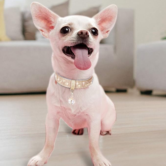 PetsHome Cat Collar, Dog Collar, [Bling Rhinestones] Premium PU Leather with Pendant Adjustable Collars for Small to Medium Dog Medium Gold