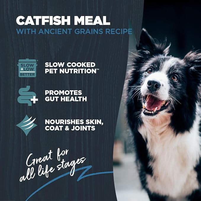 Blackwood Sensitive Skin & Stomach Dry Dog Food, Catfish Meal & Brown Rice with Ancient Grains, 10 Pound Bag with Prebiotics & Probiotics to Promote Gut Health