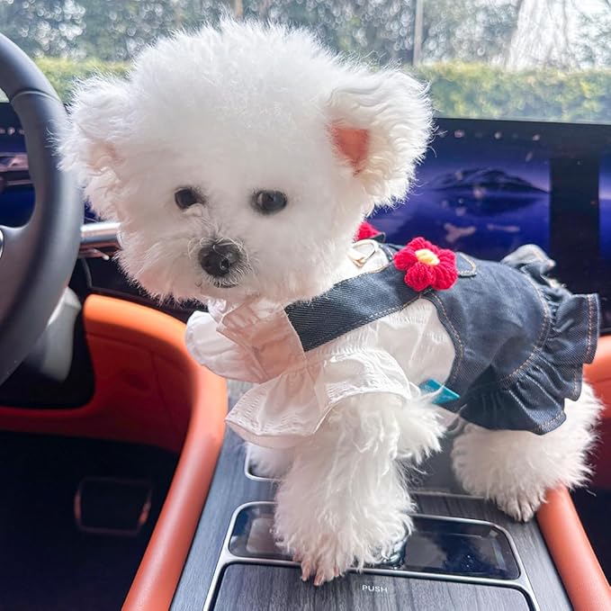 ANIAC Denim Small Puppy Dress 3D Flowers Girl Dog Clothes with D-Ring and Pocket Female Cat Harness Dresses Cute Shih Tzu Yorkies Chihuahua Outfits Summer Pet Clothing (X-Large)