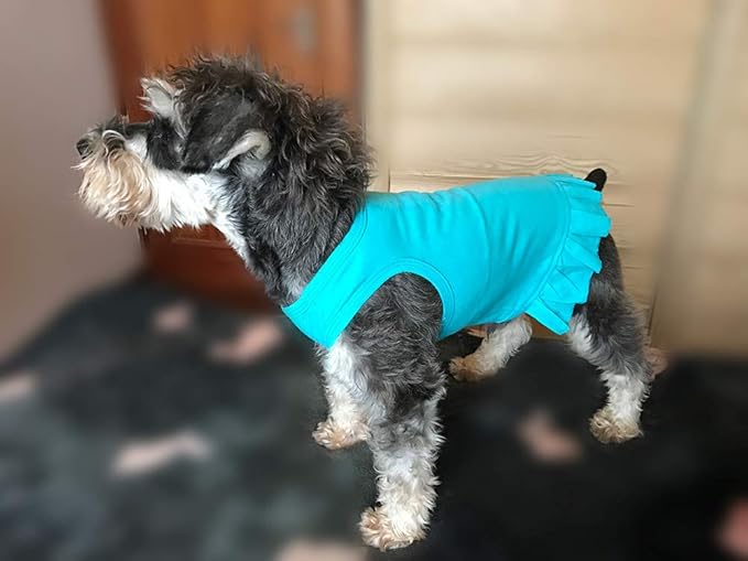 Pet Clothes Small Dog Clothing Blank Color Sport Dress T-Shirts Tee Dresses Tanks Top for Small Size Female Dogs Summer Spring Pet Costumes 100% Cotton (S, Turquoise)
