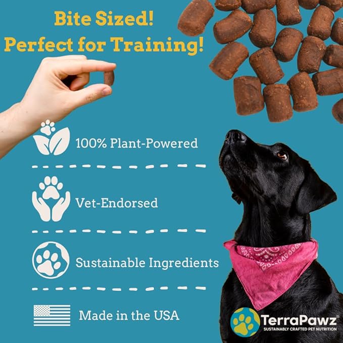 TerraPawz Vegan Dog Training Treats for Sensitive Stomachs – Pumpkin Flavor, Plant-Based & Grain-Free with Turmeric & Omegas for Digestive Health, for All Dog Sizes Including Large Breeds (8 oz)