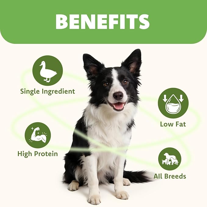 MON2SUN Dog Treats Duck Jerky, Single-Ingredient, Rawhide-Free, High Protein, Low Fat, Training Treats for Small to Large Dogs, 14.1 oz