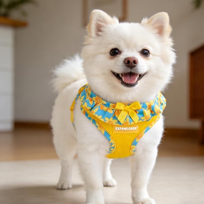 EXPAWLORER Cute Dog Harness Collar Leash Set - Blue Girl Dog Harness Checkered Step-in Design, Adjustable No-Choke Lightweight Mesh Vest for Cats Puppy Small Dogs, Daffodil XS