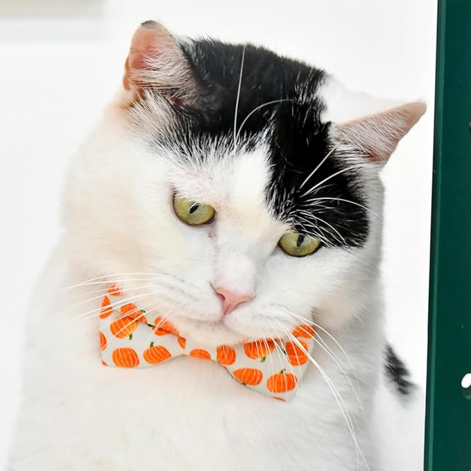 Cat Collar Bow Set, Halloween Orange Pumpkin, Wedding/Birthday Breakaway Collar Bowtie for Kitten/Cat