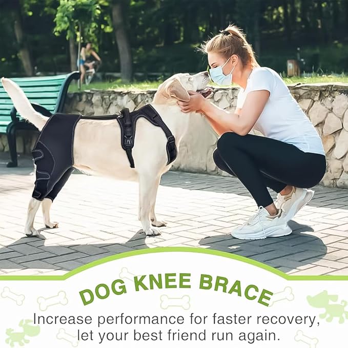 Dog Hip Brace, Dysplasia Brace for Dogs, Mild Torn ACL Leg Support, Adjustable Dog Leg Brace, Breathable, for Arthritis, Stiffness & Swelling, Knee Instability & Mobility Comfort, senior mobility (XL)