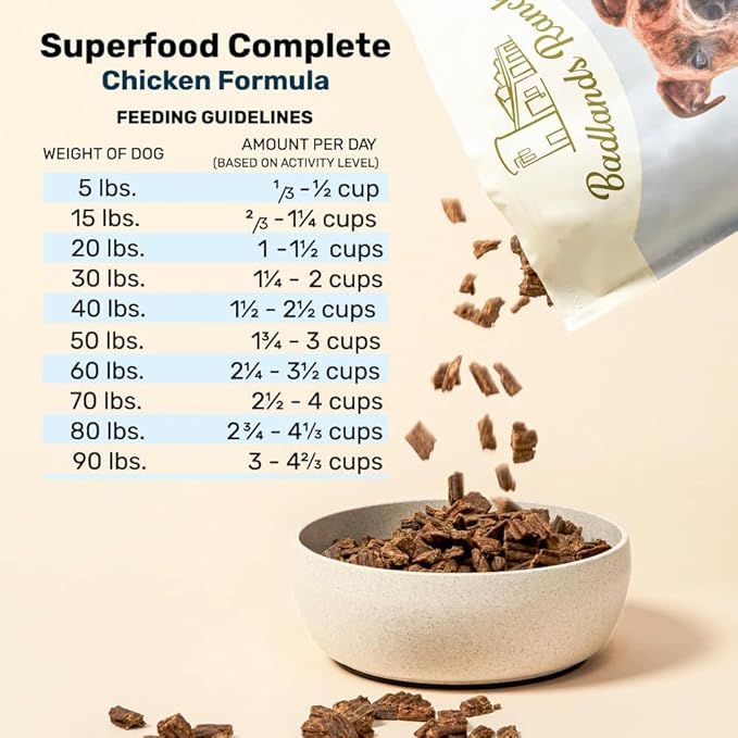 BADLANDS RANCH by Katherine Heigl – Superfood Complete Air-Dried Chicken Dog Food – High Protein with Superfoods for Daily Wellness & Consistent Nutrition – 24 oz