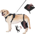 Dog Hip Knee Metal Hip Joint Brace Support Adjustable Length Harness with Front & Back Puppy L Sizes Dogs Pet 4 Limbs Wear Surgery Aid Recovery with Traction Rope