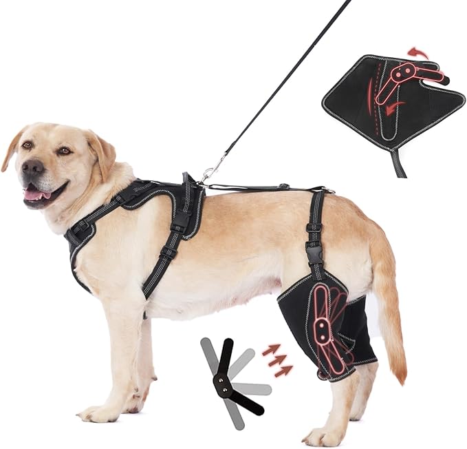 Dog Joint Knee Metal Hip Brace Support Full Body Stabilize Joints Suitable for 4 Limbs with Puppy Hip Traction Rope Extra Large Sizes