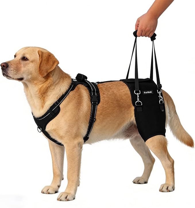 Dog Hip Brace for Hip Dysplasia & Arthritis - Adjustable Support Wrap with Removable Pads, Lifting Handle & Stabilizing Straps for Large Medium Dogs - Relief for Pain, Weakness & Lameness(XL)