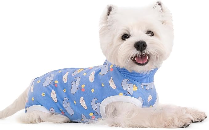 2 Packs Pet Dog Recovery Onesie Suit for Dogs Cats After Surgery,Dog Abdominal Wounds Bandages Cone E-Collar Alternative. (Blue, XS)