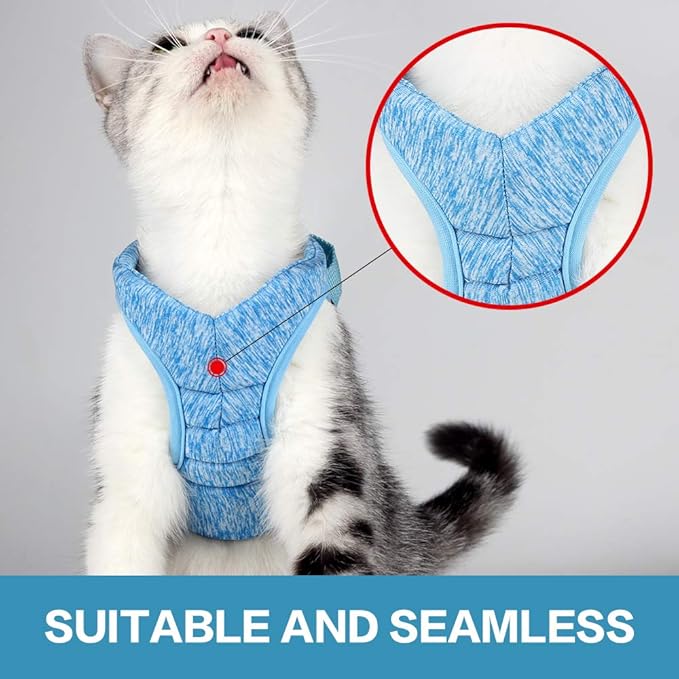HEYWEAN Cat Harness and Leash - Ultra Light Escape Proof Kitten Collar Cat Walking Jacket with Running Cushioning Soft and Comfortable Suitable for Puppies Rabbits