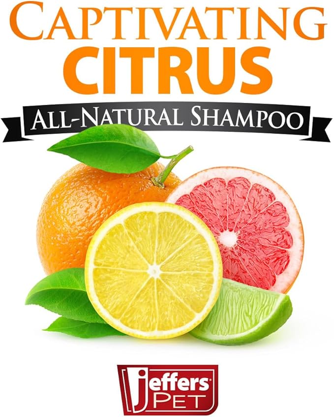 Jeffers Pet Captivating Citrus Shampoo, 17 oz – Soap Free Grooming for Dogs, Cats & Puppies – Orange & Lime Scent, Aloe & Coconut Oil – Safe for All Coat Types – Easy Rinse Formula for Home
