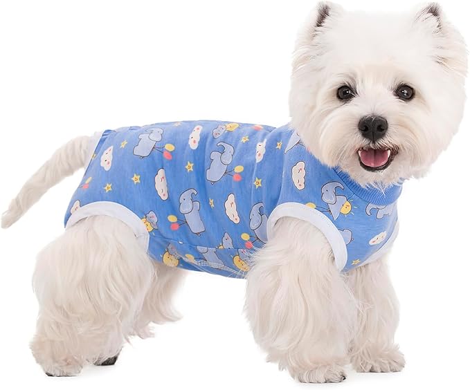 2 Packs Pet Dog Recovery Onesie Suit for Dogs Cats After Surgery,Dog Abdominal Wounds Bandages Cone E-Collar Alternative. (Blue, XS)