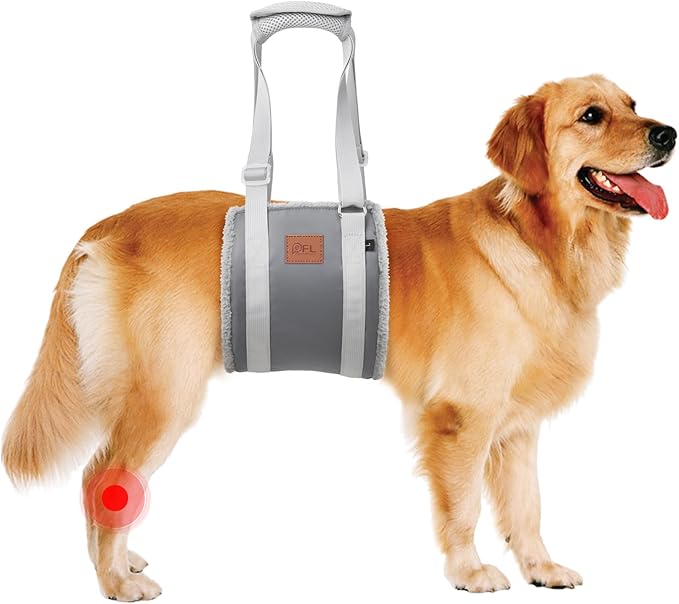 Adjustable Dog Lift Harness Dog Sling for Large Dogs Hind Leg Support Soft Lift Support for Weak Rear Legs, Helps Senior, Injured, Disabled, After ACL Surgery Dogs (Grey&Grey, Large)