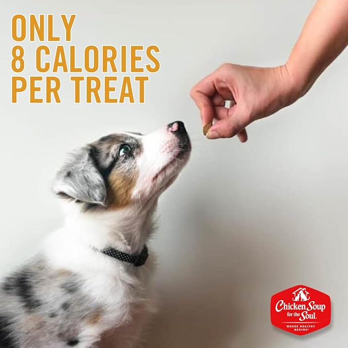 Chicken Soup for The Soul All Natural Premium Savory Snacks Soft & Chewy Dog Treats, Real Beef First Ingredient, No by-Products, Artificial Colors, Flavors or Preservatives, Chicken, 16oz