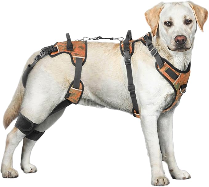 Dog Lift Harness, Dog Lift Sling Carrier with Handle & Shoulder Sling, Support Harness for Rear Back Legs Helps,Disabled,Arthritis,Joint Injuries,Paralysis Up Stairs（Orange,Extra Large）