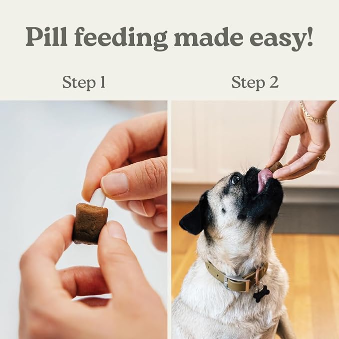 Earthly Pill Buddy Naturals - Beef Recipe Pill Hiding Treats for Dogs - Make A Perfect Pill Concealing Pocket Or Pouch for Any Size Medication - 90 Servings