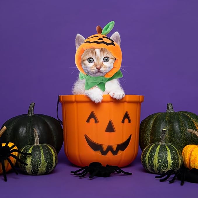 ALIBBON Cat & Dog Halloween Costume - Pumpkin Headdress & Cap Set for Puppy & Kitty Cosplay