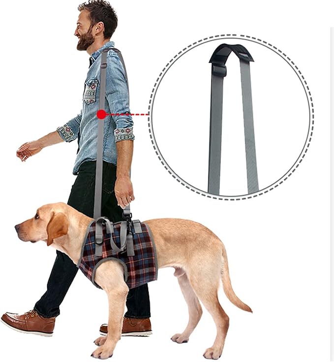 Dog Lift Harness, Adjustable Rear Leg Support Sling with Breathable Polyester, Mobility Aid for Disabled and Senior Dogs (XL (30‑40kg / 66.1‑88.2lb Recommended))