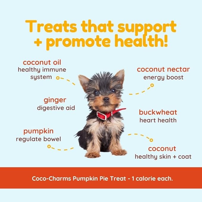 CocoTherapy Pumpkin Pie Coco-Charms Dog Training Treats, 5 Ounces Each, Supports Digestive Health, Made in The USA
