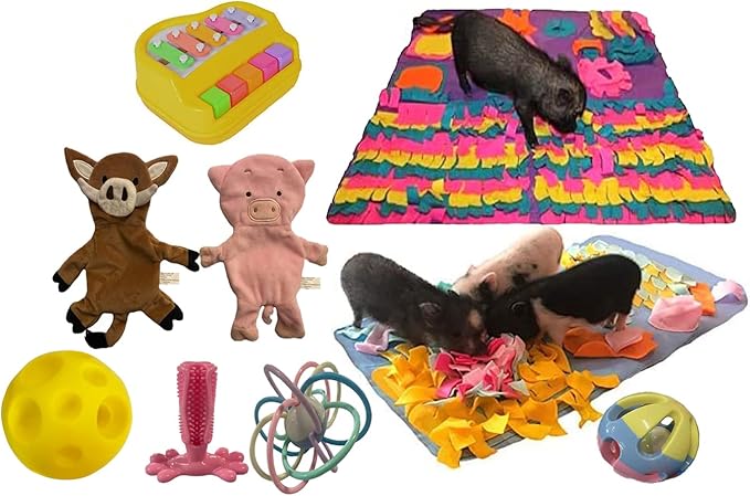 Pet Box Bundle: Assorted Toys for Dogs Pigs Rabbits Cats and Small Pets - Interactive Playtime Variety Pack with Treat Balls Snuffle Mats Games & Toys